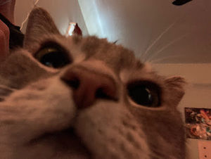 Meet your Posher, Charles